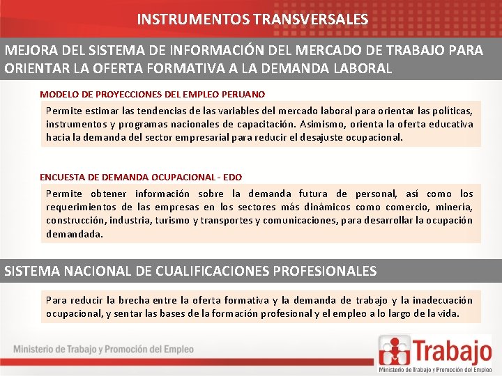 INSTRUMENTOS TRANSVERSALES MEJORA DEL SISTEMA DE INFORMACIÓN DEL MERCADO DE TRABAJO PARA ORIENTAR LA INSTRUMENTOS TRANSVERSALES MEJORA DEL SISTEMA DE INFORMACIÓN DEL MERCADO DE TRABAJO PARA ORIENTAR LA