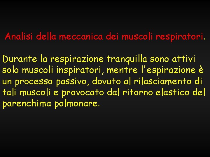 Analisi della meccanica dei muscoli respiratori. Durante la respirazione tranquilla sono attivi solo muscoli