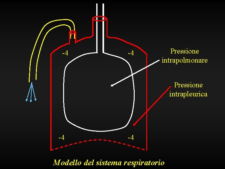 -4 -4 Pressione intrapolmonare Pressione intrapleurica -4 -4 Modello del sistema respiratorio 