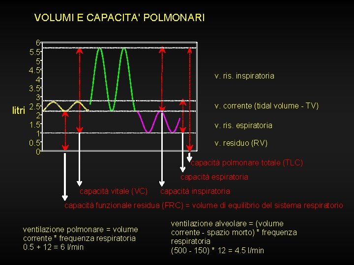 VOLUMI E CAPACITA' POLMONARI litri 6 5. 5 5 4 3. 5 3 2.