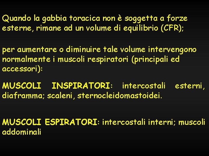 Quando la gabbia toracica non è soggetta a forze esterne, rimane ad un volume