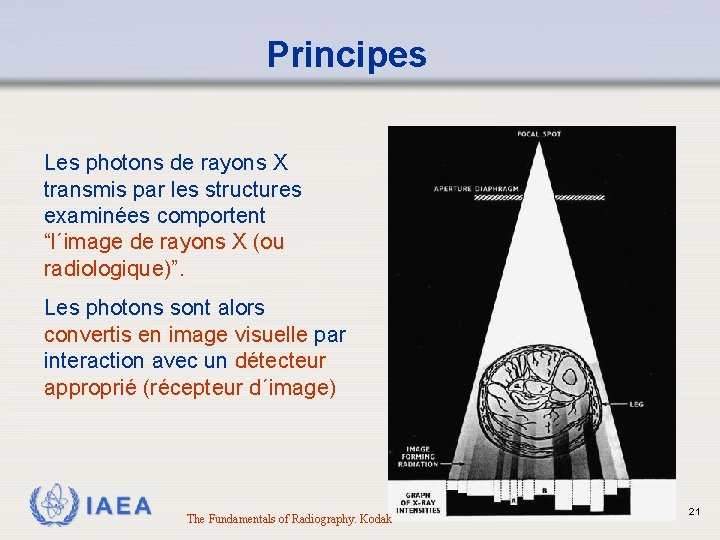 Principes Les photons de rayons X transmis par les structures examinées comportent “l´image de