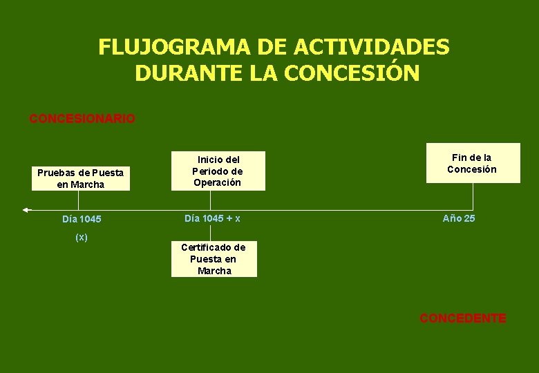 FLUJOGRAMA DE ACTIVIDADES DURANTE LA CONCESIÓN CONCESIONARIO Pruebas de Puesta en Marcha Día 1045