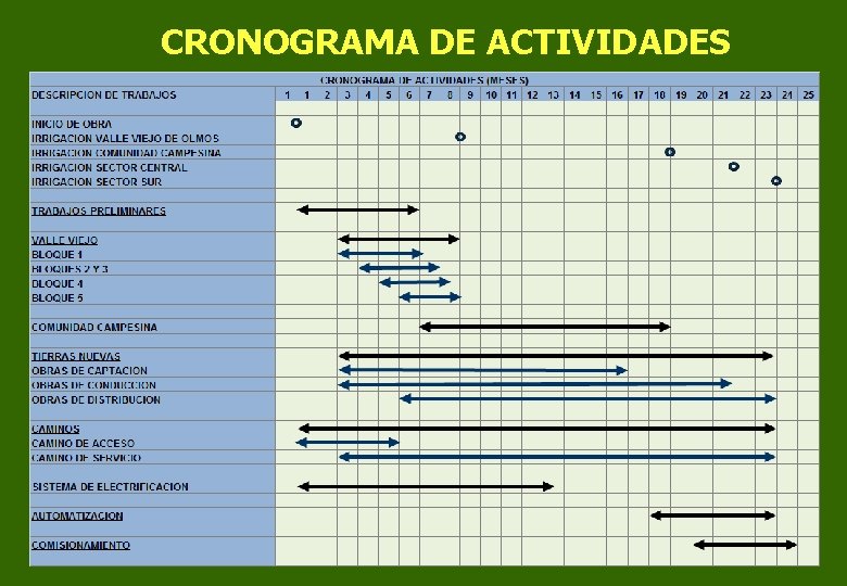 CRONOGRAMA DE ACTIVIDADES 
