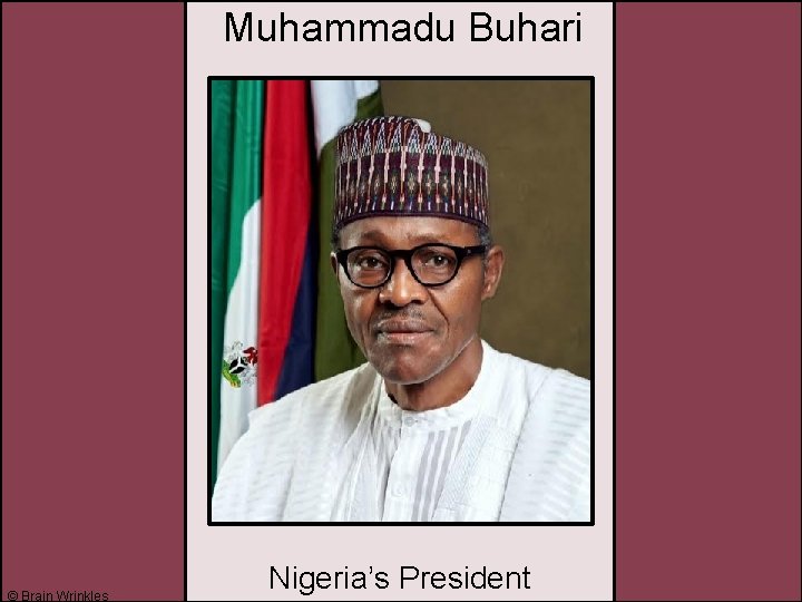 Muhammadu Buhari © Brain Wrinkles Nigeria’s President 