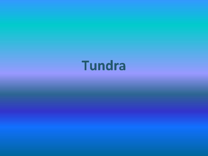 Tundra 