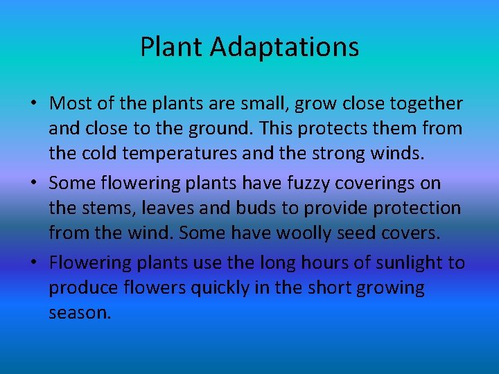 Plant Adaptations • Most of the plants are small, grow close together and close