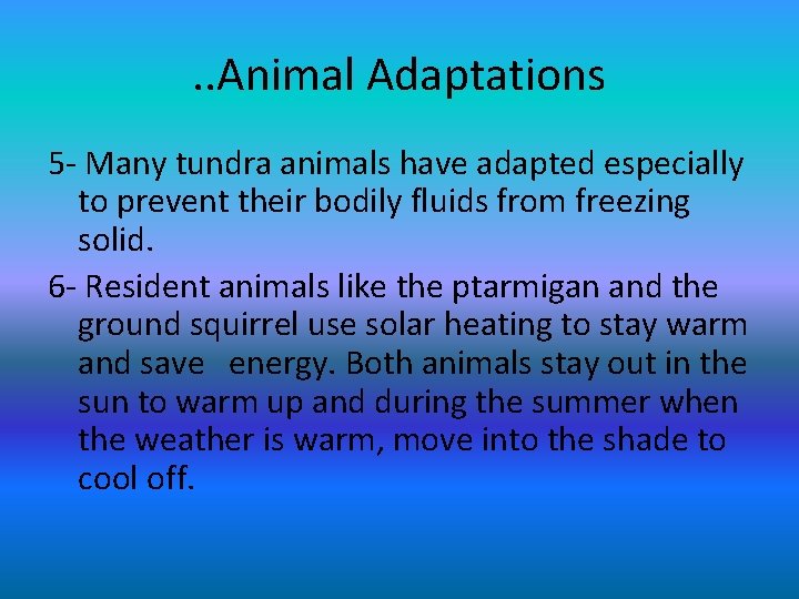 . . Animal Adaptations 5 - Many tundra animals have adapted especially to prevent