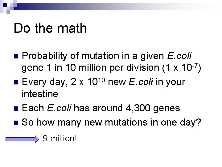 Do the math Probability of mutation in a given E. coli gene 1 in