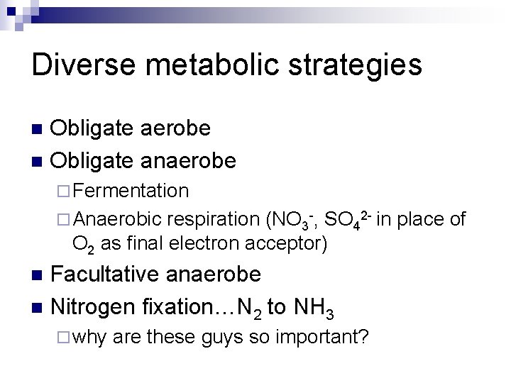 Diverse metabolic strategies Obligate aerobe n Obligate anaerobe n ¨ Fermentation ¨ Anaerobic respiration