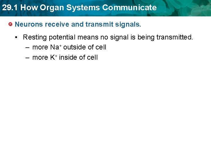 29. 1 How Organ Systems Communicate Neurons receive and transmit signals. • Resting potential