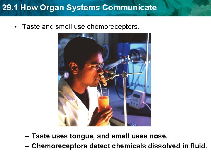29. 1 How Organ Systems Communicate • Taste and smell use chemoreceptors. – Taste