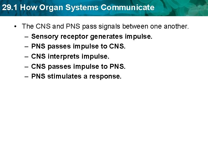 29. 1 How Organ Systems Communicate • The CNS and PNS pass signals between