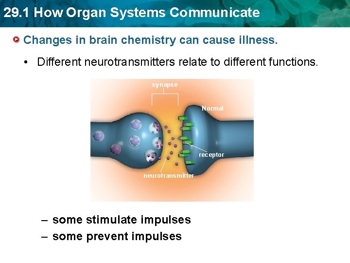 29. 1 How Organ Systems Communicate Changes in brain chemistry can cause illness. •