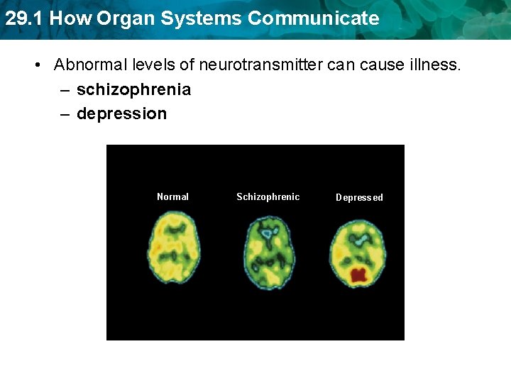 29. 1 How Organ Systems Communicate • Abnormal levels of neurotransmitter can cause illness.