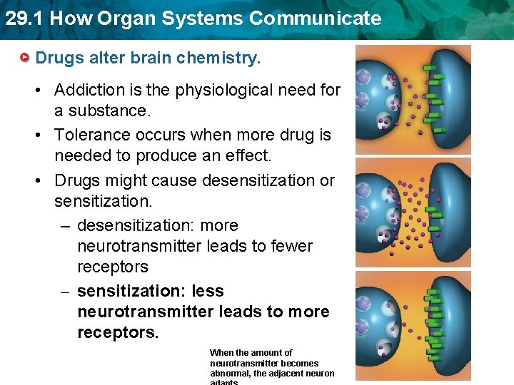 29. 1 How Organ Systems Communicate Drugs alter brain chemistry. • Addiction is the