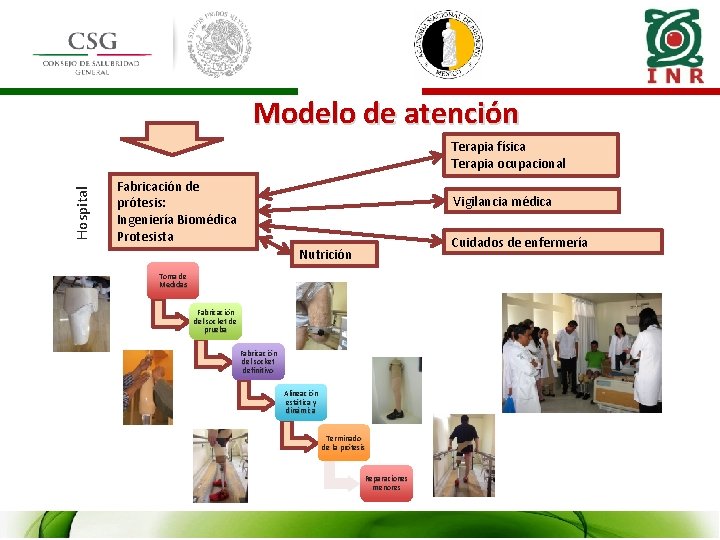 Modelo de atención Hospital Terapia física Terapia ocupacional Fabricación de prótesis: Ingeniería Biomédica Protesista