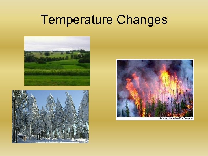 Temperature Changes 