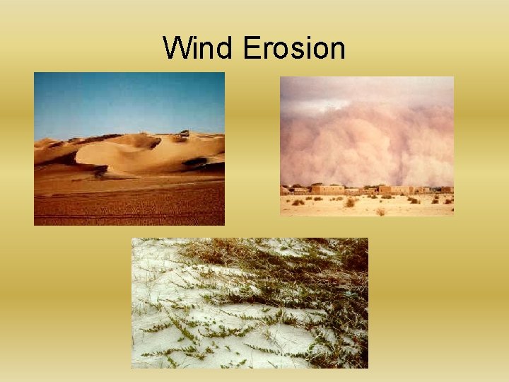 Wind Erosion 