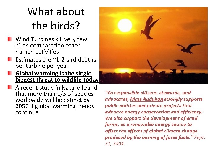 What about the birds? Wind Turbines kill very few birds compared to other human What about the birds? Wind Turbines kill very few birds compared to other human