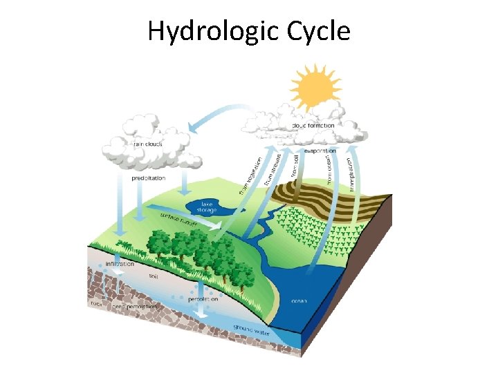 Hydrologic Cycle 