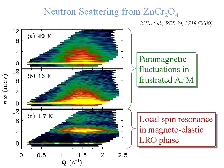 Neutron Scattering from Zn. Cr 2 O 4 SHL et al. , PRL 84,
