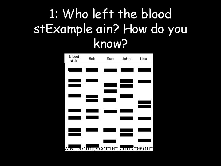 1: Who left the blood st. Example ain? How do you know? http: //www.