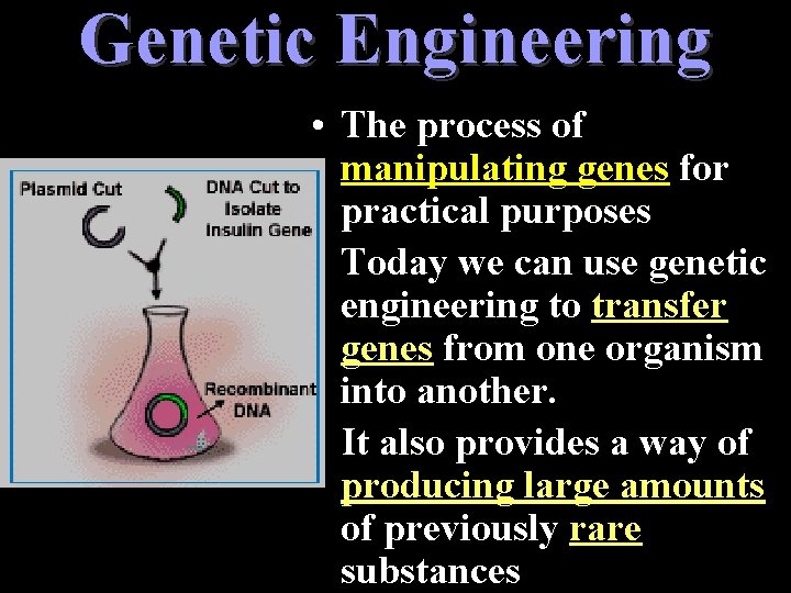 Genetic Engineering • The process of manipulating genes for practical purposes • Today we