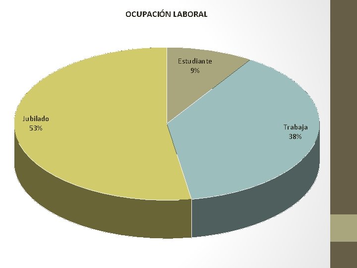 OCUPACIÓN LABORAL Estudiante 9% Jubilado 53% Trabaja 38% 