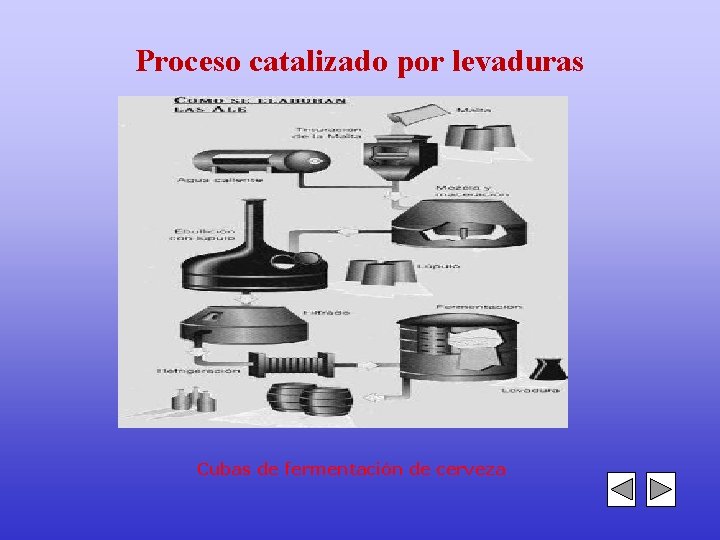 Proceso catalizado por levaduras Cubas de fermentación de cerveza 