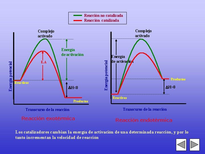 Reacción no catalizada Reacción catalizada Complejo activado E. A Reactivos H<0 Productos Energía potencial