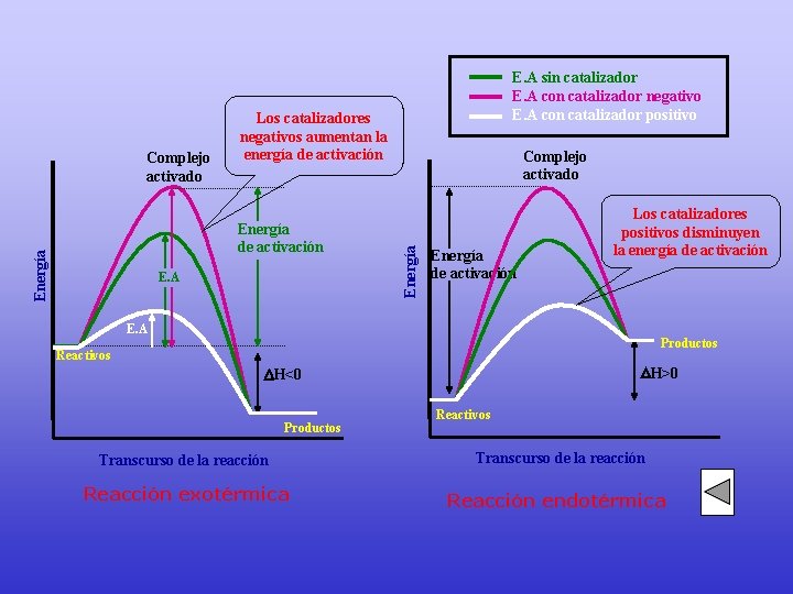 Los catalizadores negativos aumentan la energía de activación Energía de activación E. A Complejo