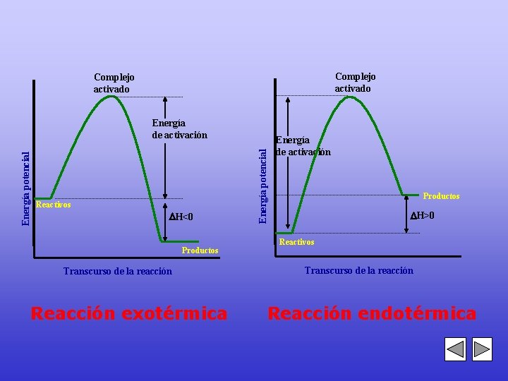 Complejo activado Reactivos H<0 Productos Transcurso de la reacción Reacción exotérmica Energía potencial Energía