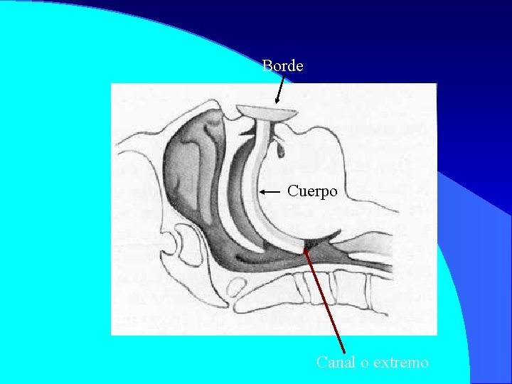 Borde Cuerpo Canal o extremo 