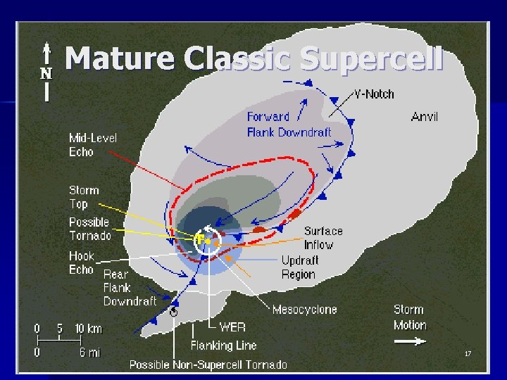 Mature Classic Supercell 17 