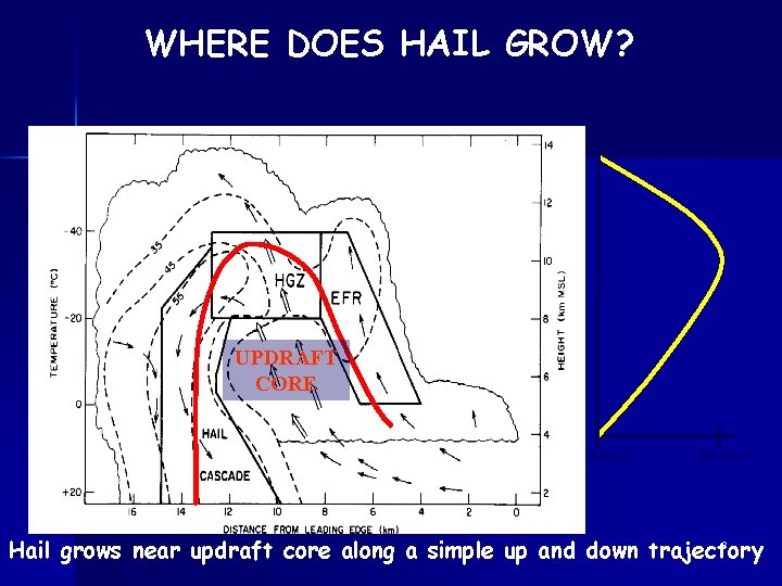 WHERE DOES HAIL GROW? UPDRAFT CORE 2 ms-1 30 ms-1 8 Hail grows near