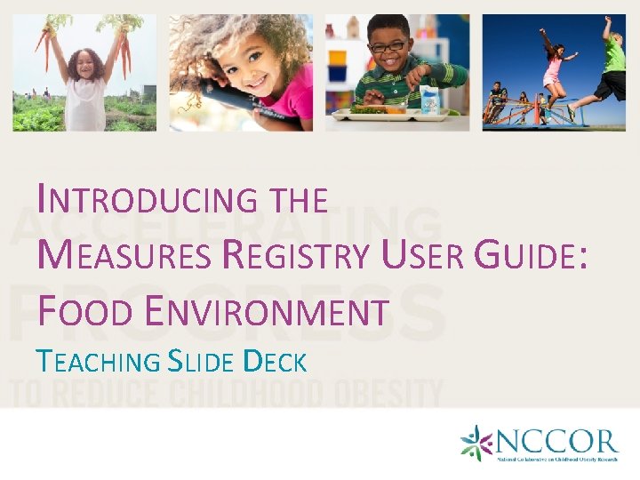 INTRODUCING THE MEASURES REGISTRY USER GUIDE: FOOD ENVIRONMENT TEACHING SLIDE DECK 