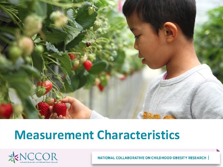 Measurement Characteristics 