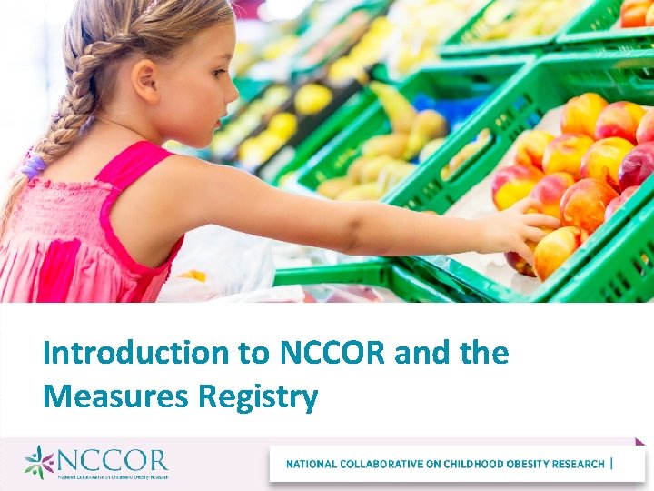 Introduction to NCCOR and the Measures Registry 