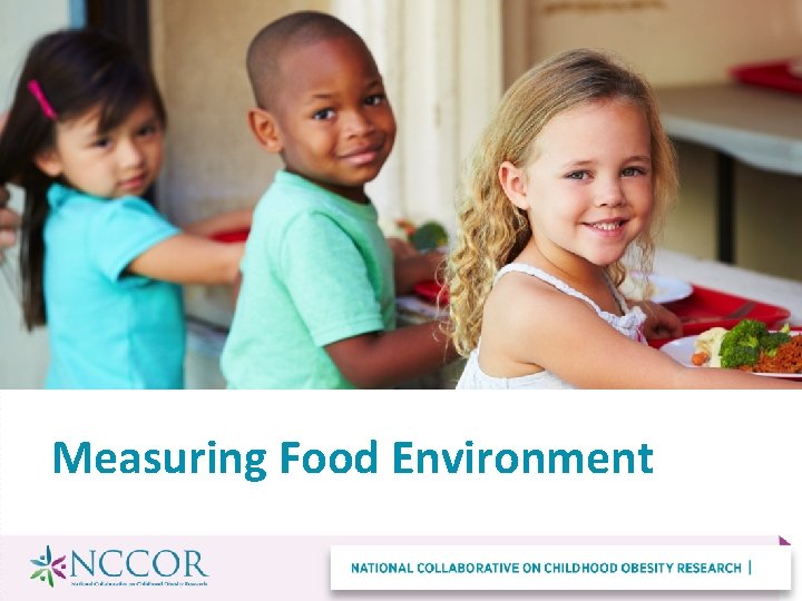Measuring Food Environment 