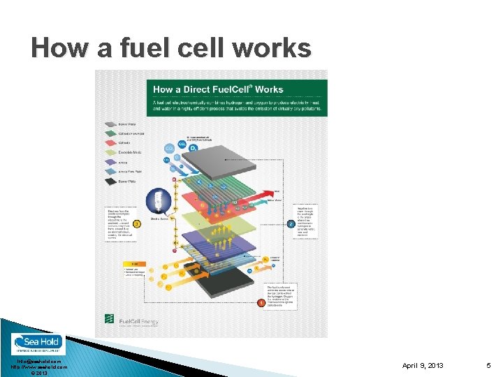 How a fuel cell works info@seahold. com http: //www. seahold. com © 2013 April