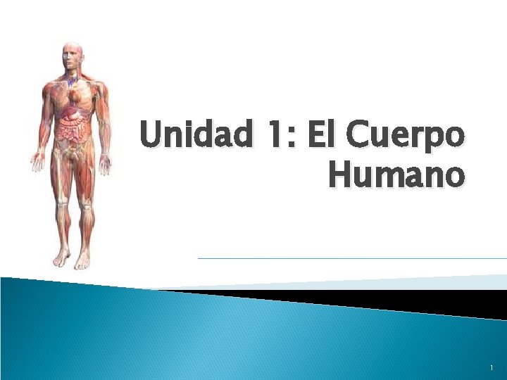 Unidad 1: El Cuerpo Humano 1 