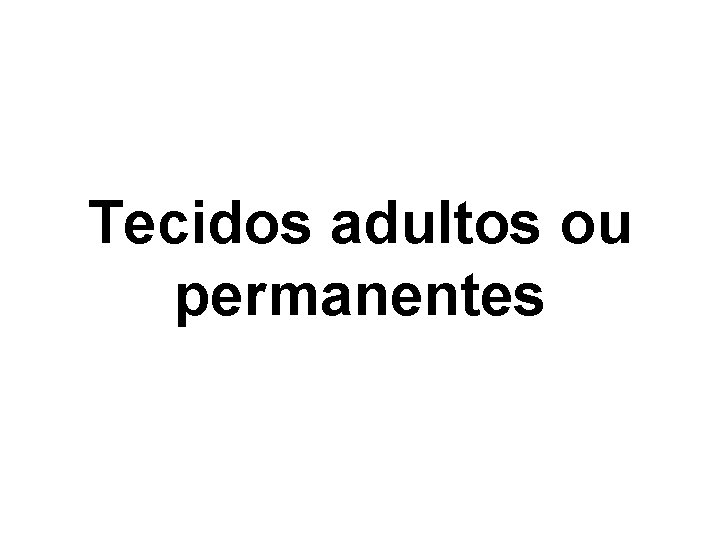 Tecidos adultos ou permanentes Tecidos adultos ou permanentes