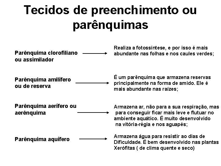 Tecidos de preenchimento ou parênquimas Parênquima clorofiliano ou assimilador Realiza a fotossíntese, e por Tecidos de preenchimento ou parênquimas Parênquima clorofiliano ou assimilador Realiza a fotossíntese, e por