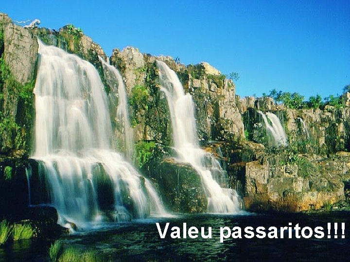 Valeu passaritos!!! Valeu passaritos!!!