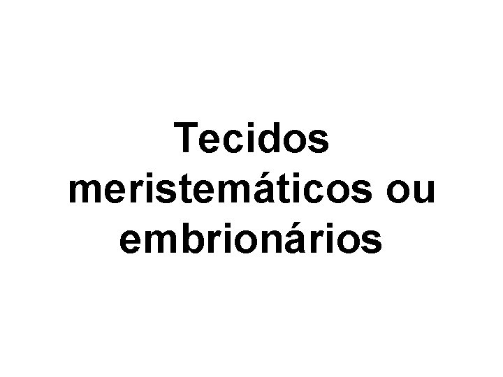 Tecidos meristemáticos ou embrionários Tecidos meristemáticos ou embrionários