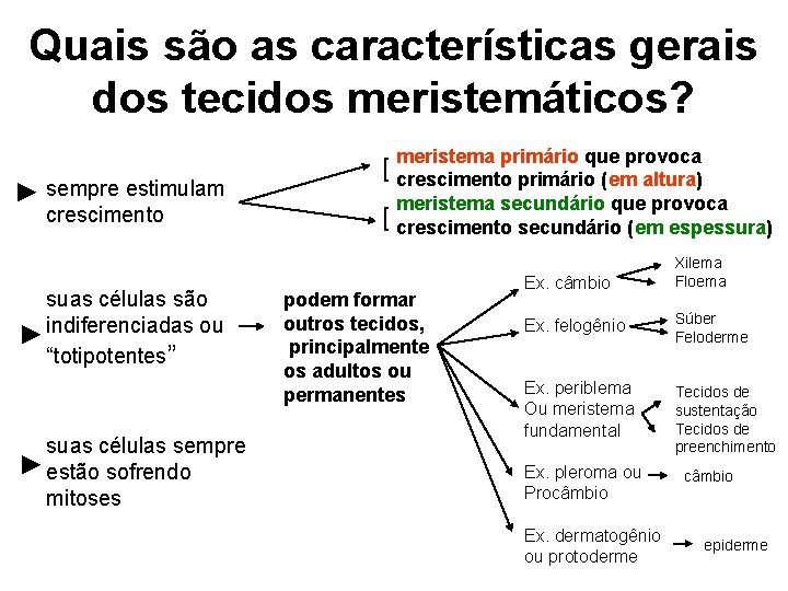 Quais são as características gerais dos tecidos meristemáticos? ► sempre estimulam crescimento suas células Quais são as características gerais dos tecidos meristemáticos? ► sempre estimulam crescimento suas células