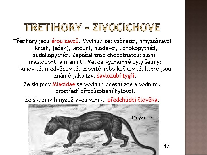 Třetihory jsou érou savců. Vyvinuli se: vačnatci, hmyzožravci (krtek, ježek), letouni, hlodavci, lichokopytníci, sudokopytníci.