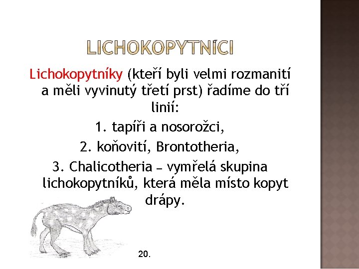Lichokopytníky (kteří byli velmi rozmanití a měli vyvinutý třetí prst) řadíme do tří linií: Lichokopytníky (kteří byli velmi rozmanití a měli vyvinutý třetí prst) řadíme do tří linií: