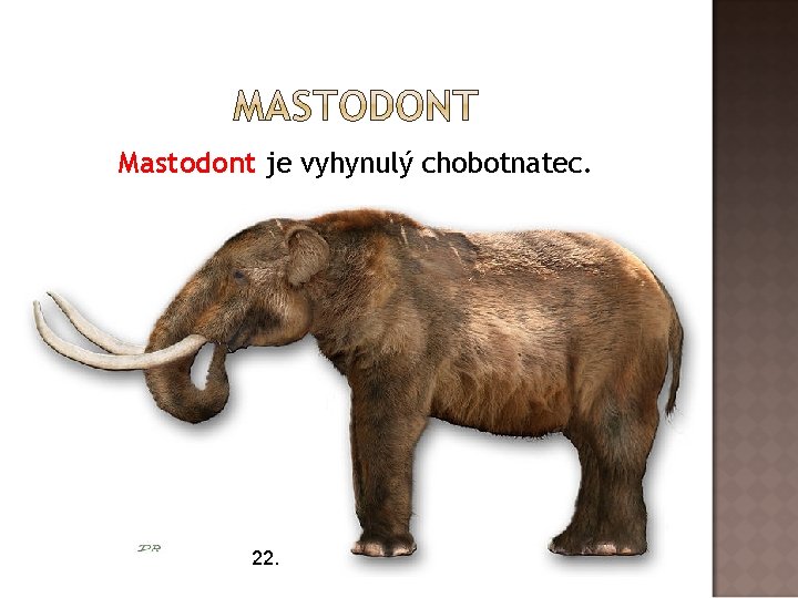 Mastodont je vyhynulý chobotnatec. 22. 